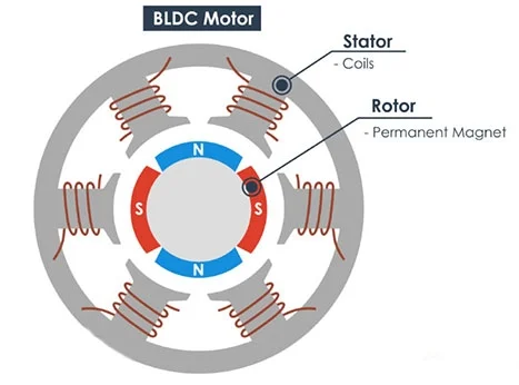 Brushless motor cross section
